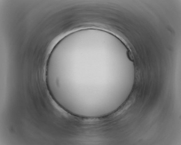 X0000113351535200910061008