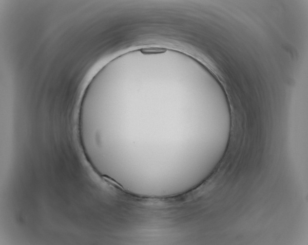 X0000113351536200910061008