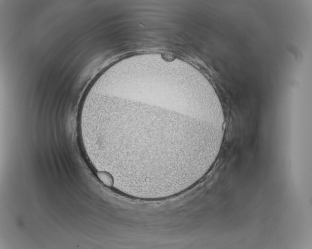 X0000113350002200910131249
