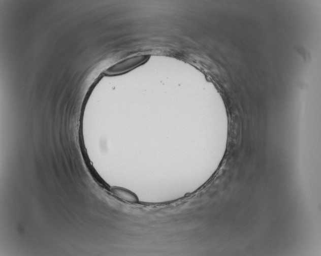 X0000113350003200910131249