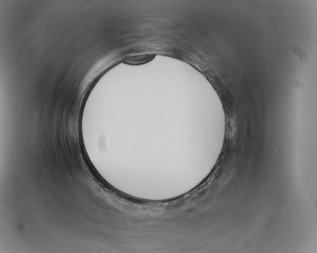 X0000113350004200910131249