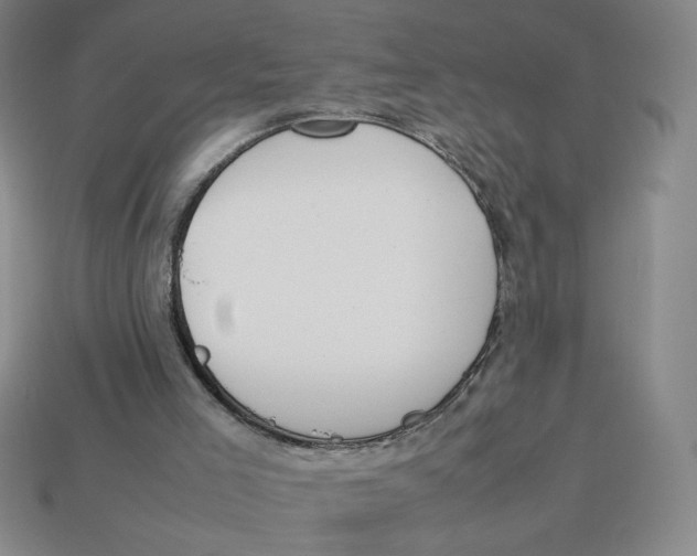 X0000113350005200910131249