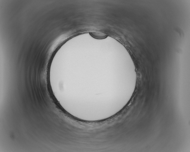 X0000113350006200910131249