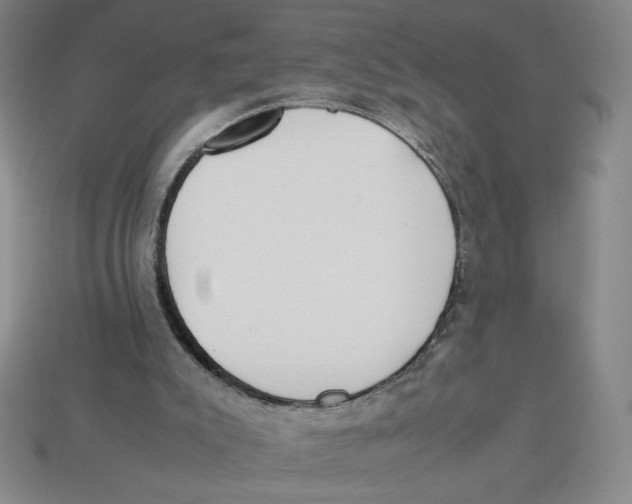 X0000113350007200910131249