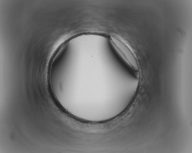 X0000113350008200910131249