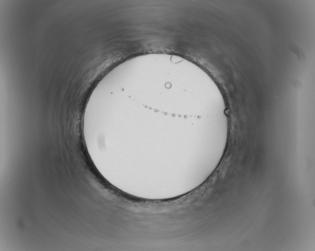 X0000113350009200910131249