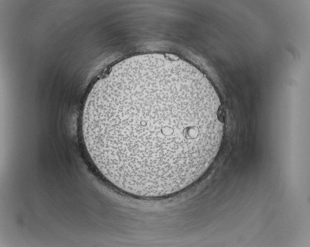 X0000113350010200910131249