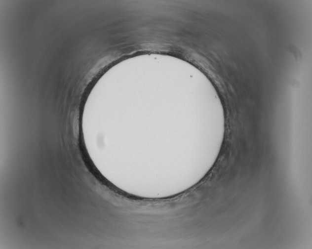 X0000113350011200910131249