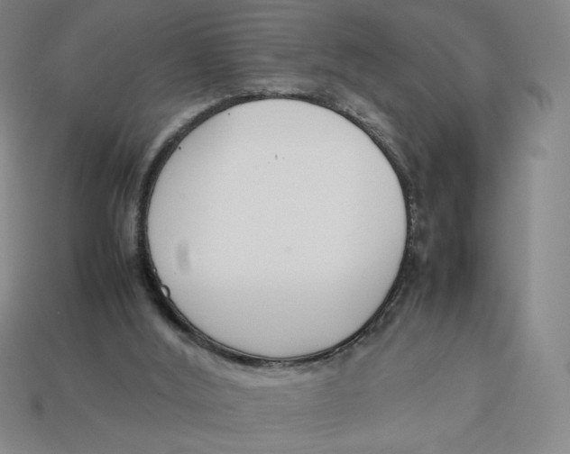 X0000113350012200910131249