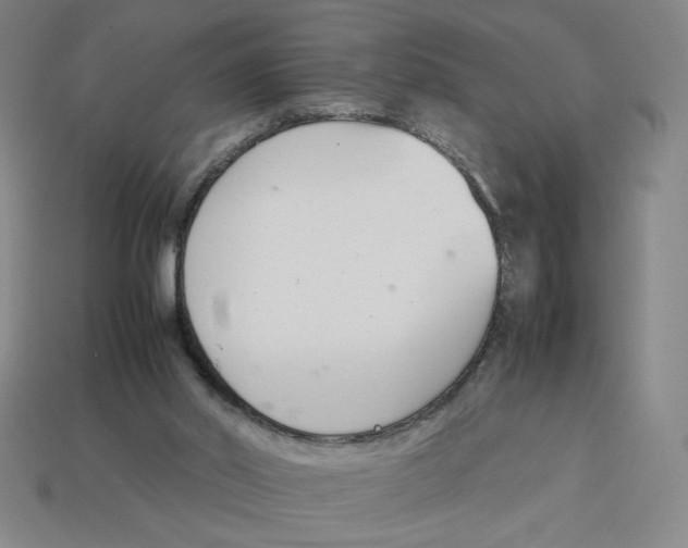 X0000113350014200910131249