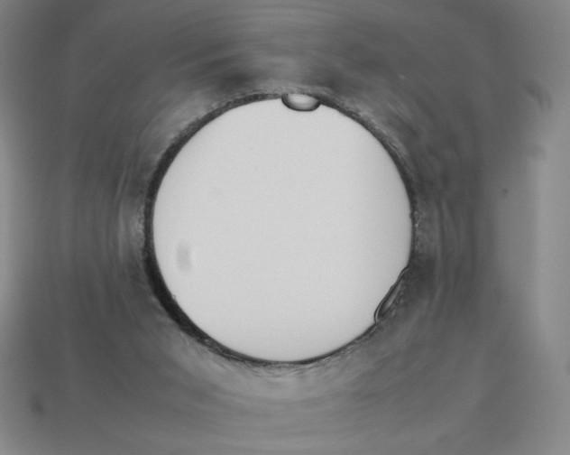 X0000113350015200910131249