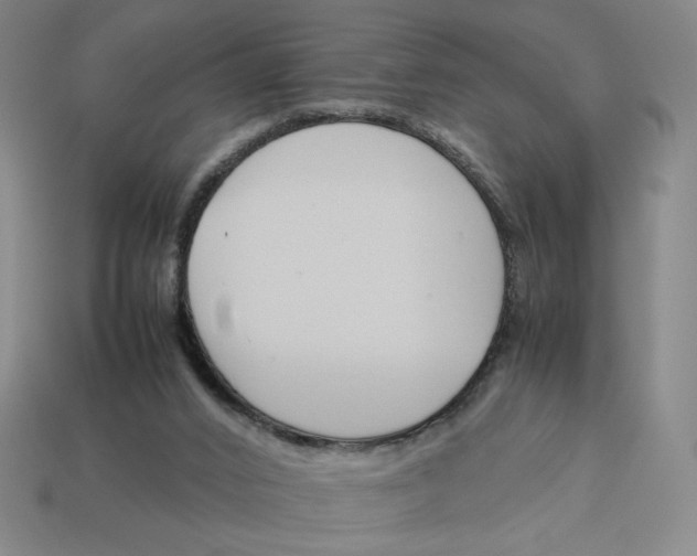 X0000113350016200910131249
