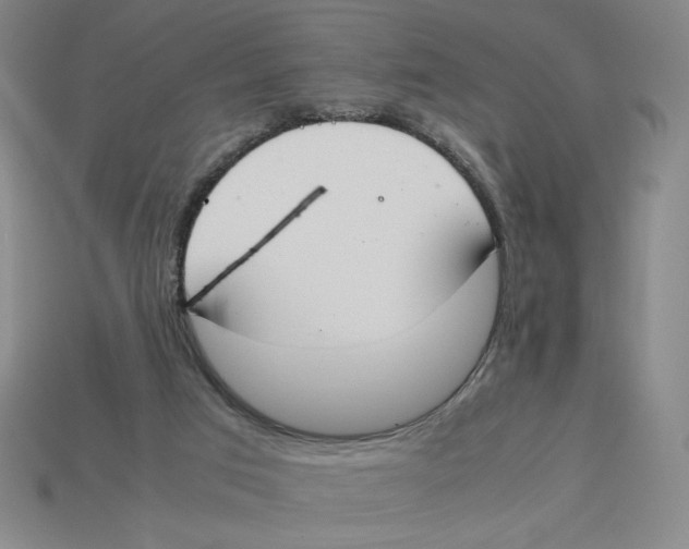 X0000113350017200910131249