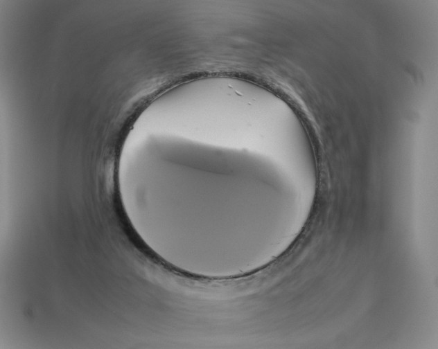 X0000113350019200910131249