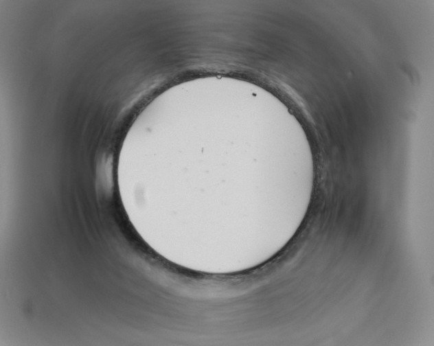 X0000113350020200910131249