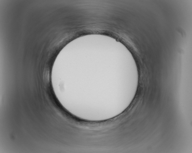 X0000113350021200910131249