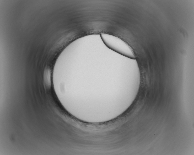 X0000113350022200910131249