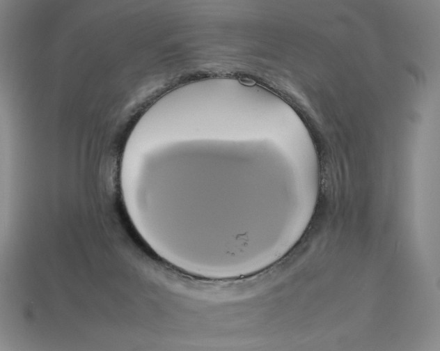 X0000113350023200910131249