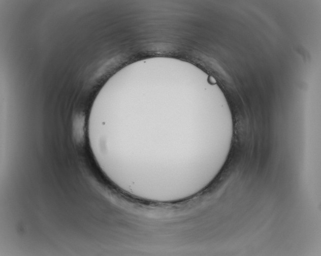 X0000113350024200910131249