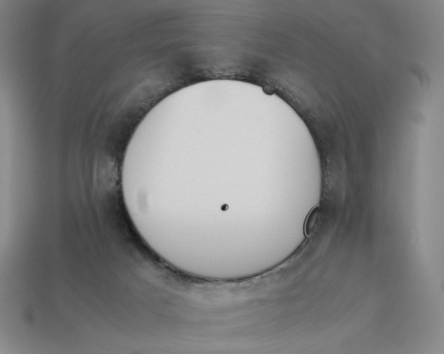 X0000113350025200910131249