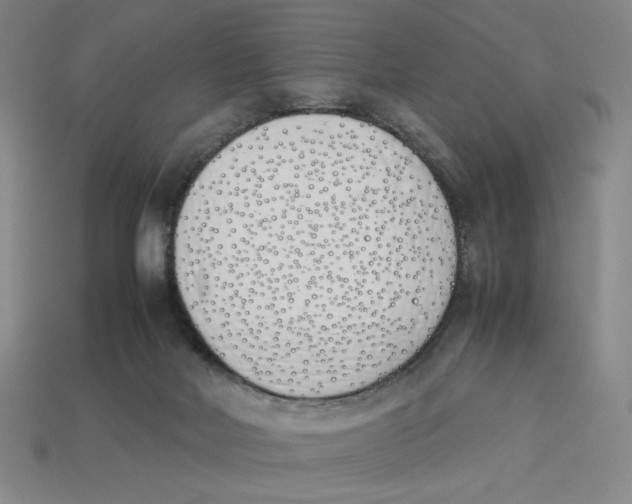 X0000113350026200910131249