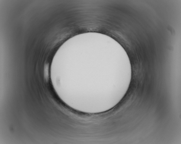 X0000113350028200910131249