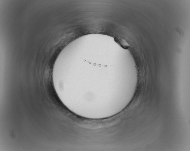X0000113350029200910131249