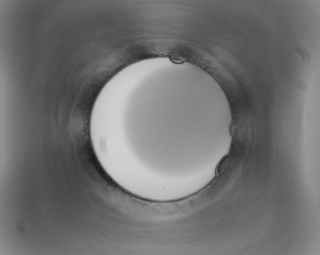 X0000113350031200910131249