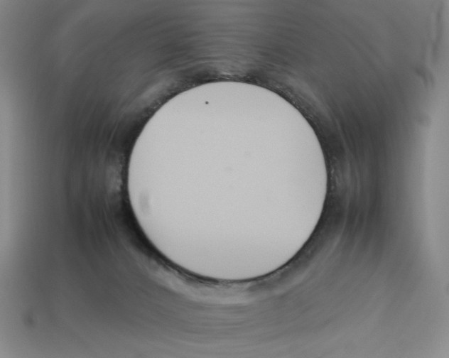 X0000113350032200910131249