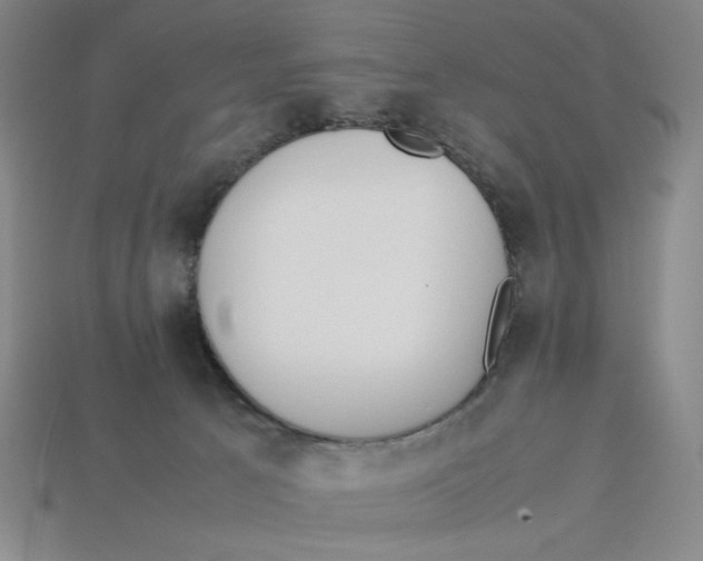 X0000113350033200910131249