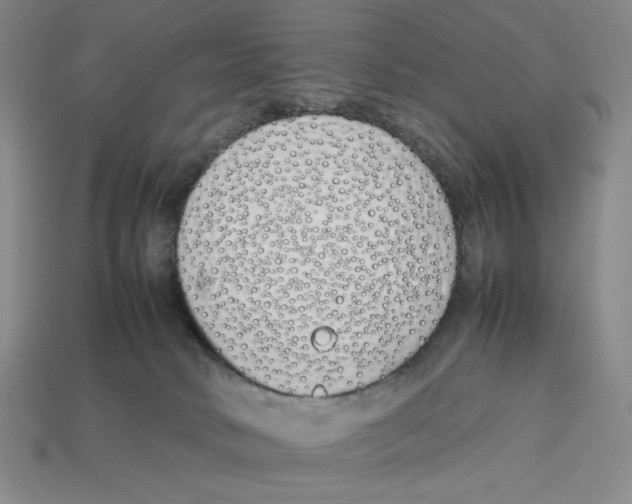 X0000113350034200910131249