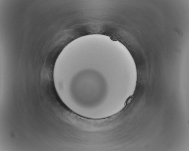 X0000113350035200910131249