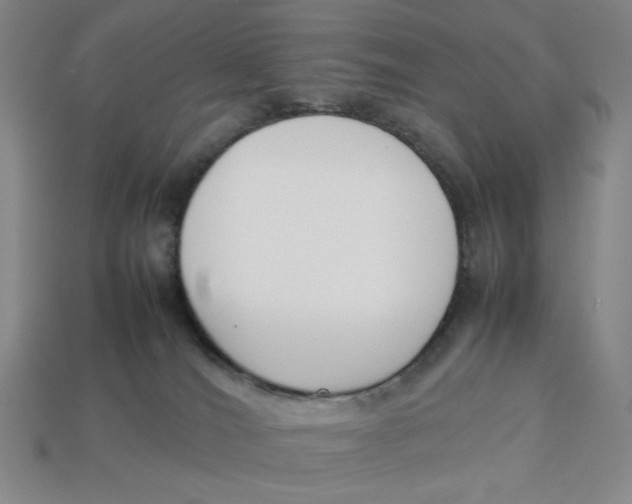 X0000113350036200910131249