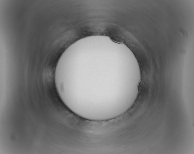 X0000113350037200910131249