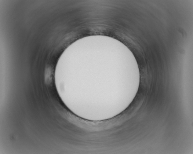 X0000113350038200910131249