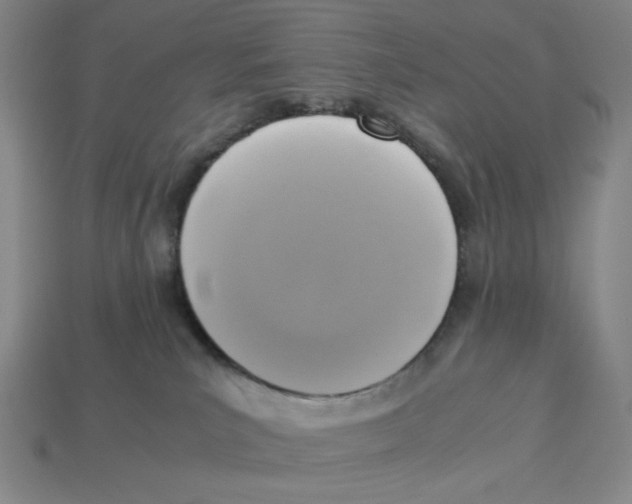 X0000113350039200910131249