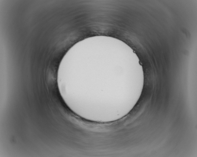 X0000113350040200910131249