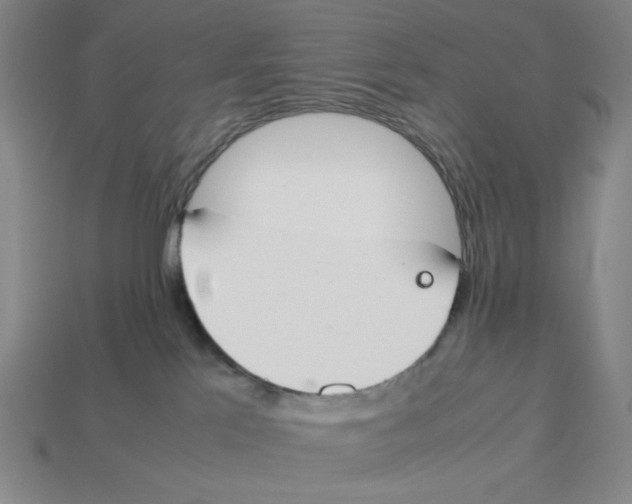 X0000113350041200910131249