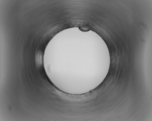 X0000113350042200910131249
