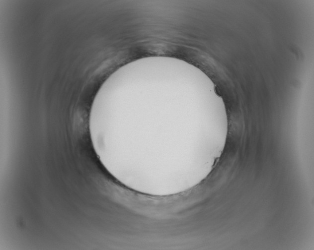X0000113350043200910131249