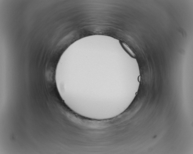 X0000113350044200910131249