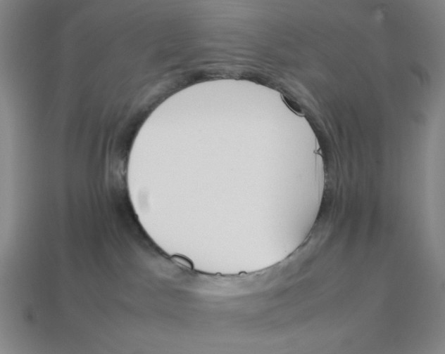 X0000113350045200910131249