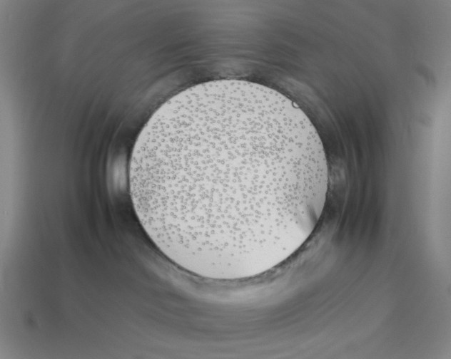 X0000113350046200910131249