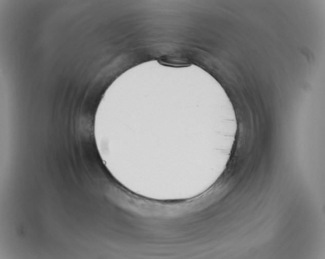 X0000113350048200910131249