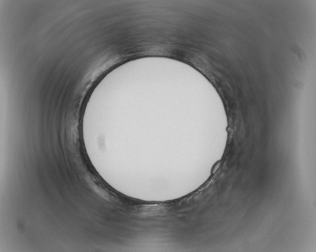 X0000113350050200910131248