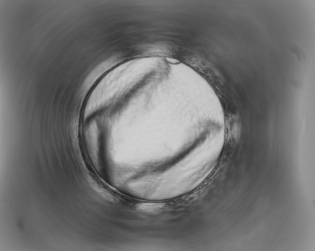 X0000113350051200910131248