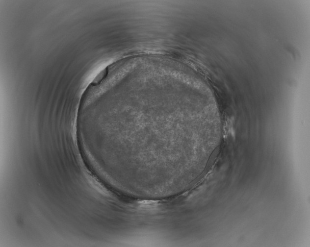 X0000113350052200910131248