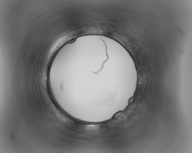 X0000113350053200910131248