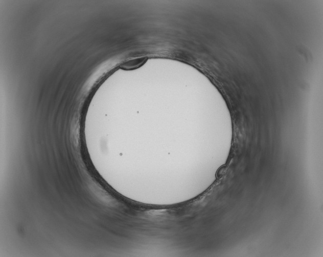 X0000113350054200910131248