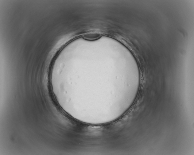 X0000113350055200910131248